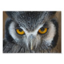 Recherche de hibou noir et blanc posters Animal