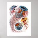 Recherche de copies posters Illustration