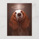 Recherche de contrebasse cartes postales Chien