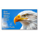 Recherche de aigle américain cartes visite Aigle à tête blanche