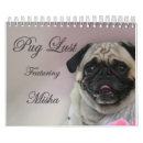 Recherche de misha Chien