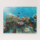 Recherche de corail puzzles Nature
