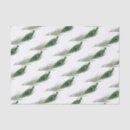 Recherche de couleurs de paon Motif