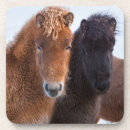 Recherche de cheval islandais dessous de verres Froid