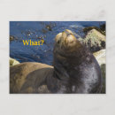 Recherche de lion mignon cartes postales Mer