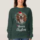 Recherche de grands chats chapeaux Dog
