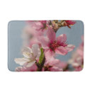 Recherche de sakura photographie Printemps