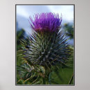 Recherche de fine photographie art Fleur