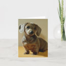 Recherche de daschund vœux cartes Animaux