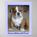 Recherche de les anglais posters Bulldog