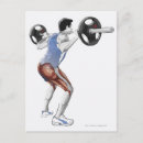 Recherche de muscle humain posters Exercice