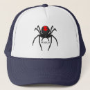 Recherche de araignées casquettes Araignée noire