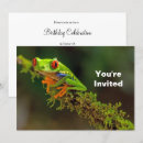 Recherche de yeux verts invitations Grenouille