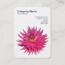Recherche de dahlia rose cartes visite Nature