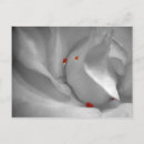 Recherche de monochromatique cartes postales Monochrome