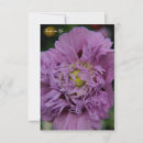 Recherche de de pavot correspondances cartes Toute personne