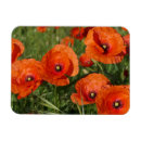 Recherche de coquelicot magnets Floral