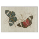 Recherche de insectes planches à découper Antique