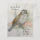 Recherche de moineau cartes postales Peinture aquarelle