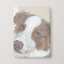 Recherche de chiens de berger australiens badges Dog