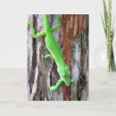 Recherche de lizzard vœux cartes Faune