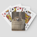 Recherche de hérisson jeux de cartes Animal