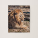 Recherche de lion puzzles Majestueux