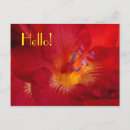 Recherche de freesia cartes postales Rouge