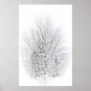 Recherche de canadien posters Arbres