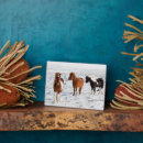 Recherche de cheval islandais plaques Ferme