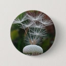 Recherche de graines badges Pour tous