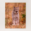 Recherche de lynx puzzles Chat sauvage