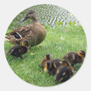 Recherche de domain autocollants Nature