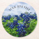 Recherche de étoile solitaire maison deco Bluebonnet