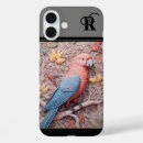 Recherche de perroquets coques Pour elle