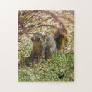 Recherche de écureuil puzzles Herbe