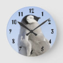 Recherche de pingouins horloges Animal