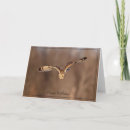 Recherche de hibou anniversaire cartes Nature