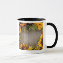 Recherche de multi coloré tasses Nature
