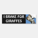 Recherche de girafes voiture autocollants Drôle