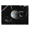 Recherche de photo de requin cartes postales Vie marine