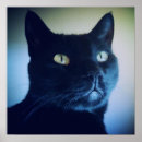 Recherche de minou noir art Minous