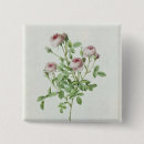 Recherche de rosas badges Fleurs
