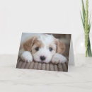 Recherche de puppy vœux cartes Dog