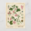 Recherche de malaisie vintage cartes postales Illustration