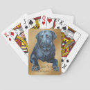 Recherche de labrador noir jeux de cartes Labo
