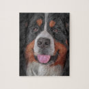 Recherche de beau chien puzzles Race