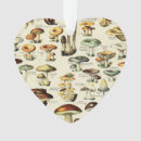 Recherche de coeur vintage ornements Nature