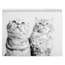 Recherche de de chat calendriers Mignon