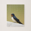 Recherche de hirondelles puzzles Nature